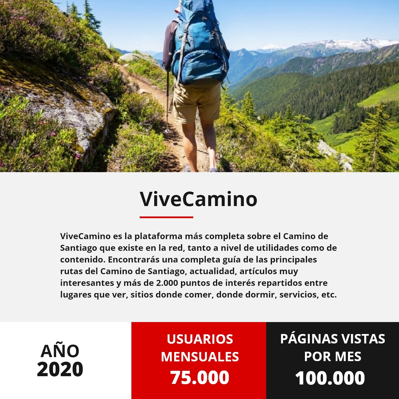 Vice Camino Stats