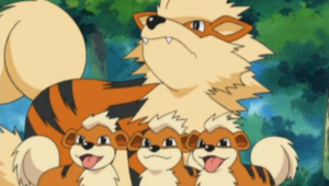 Arcanine no tenía rayas en su primera aparición en Pokémon