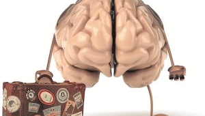 Fuga de cerebros: creativos y estudios que salen y entran