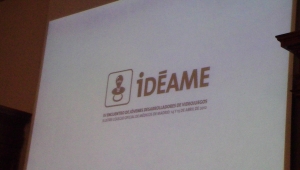 Resumen conferencias de iDÉAME 2012 (Sábado tarde)