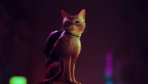Nunca se ha controlado a un gato de forma tan realista como en Stray, que desvela un primer gameplay espectacular