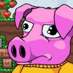 Squishy The Suicidal Pig