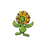 Sunflora hembra - espalda