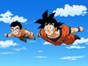 Goku y Krillin de vuelta al antiguo lugar de entrenamiento.