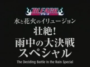 La decisión de Rukia, los sentimientos de Ichigo