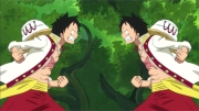 Un bosque de dulces. ¡¿Luffy contra Luffy?!