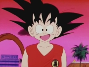 Un combate fraternal / La sorpresa de Goku y el plan de Krilin