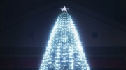 Bajo el árbol de Navidad