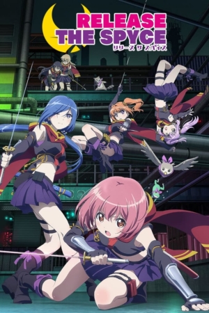 Póster Release the Spyce