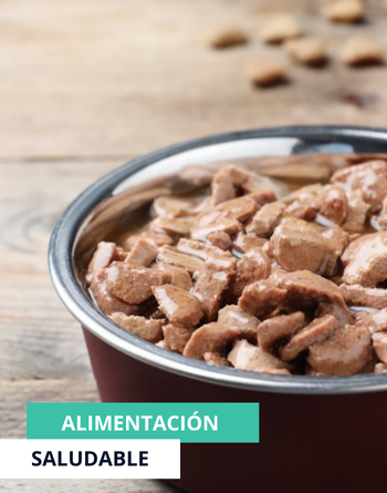 Alimentación saludable