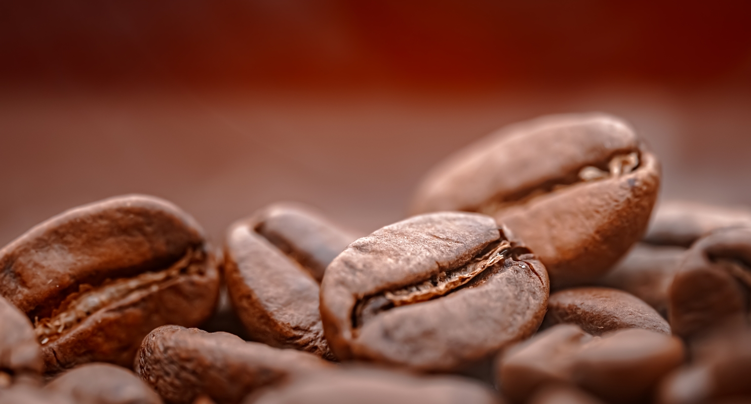 Café orgánico: ¿Qué requisitos debe cumplir un café para serlo?