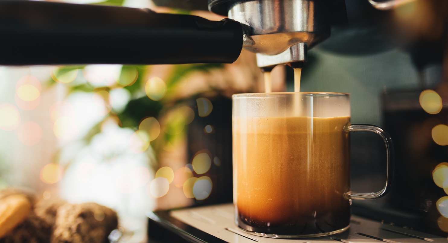 Qué es un café robusta: Todo lo que debes saber