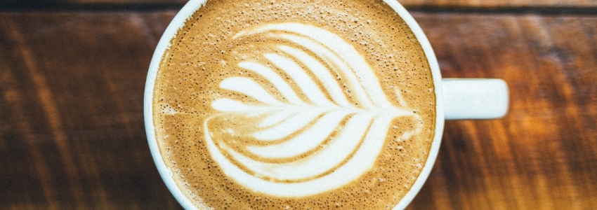 ¿Qué es el café arábica?¿Por qué es tan apreciado?