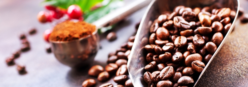 Las etapas de producción del café: de la plantación a la taza