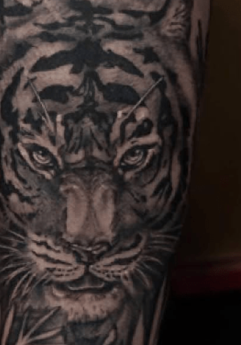 Tatuaje realista tigre en hojas