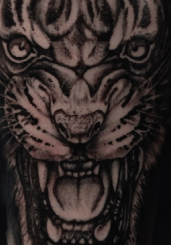 Tatuaje realista cara tigre antebrazo