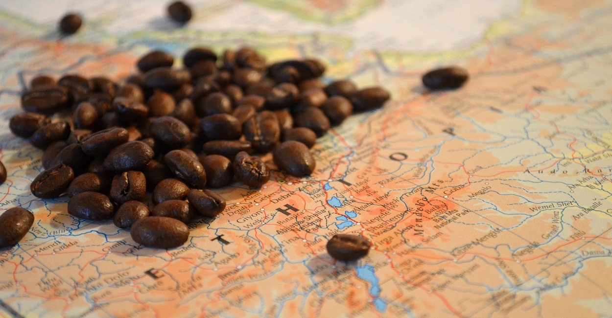 ¿Cuál es el mejor café del mundo?¿Cómo se consigue?