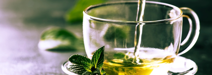 El mejor té verde: Tipos, procedencias y sus efectos positivos