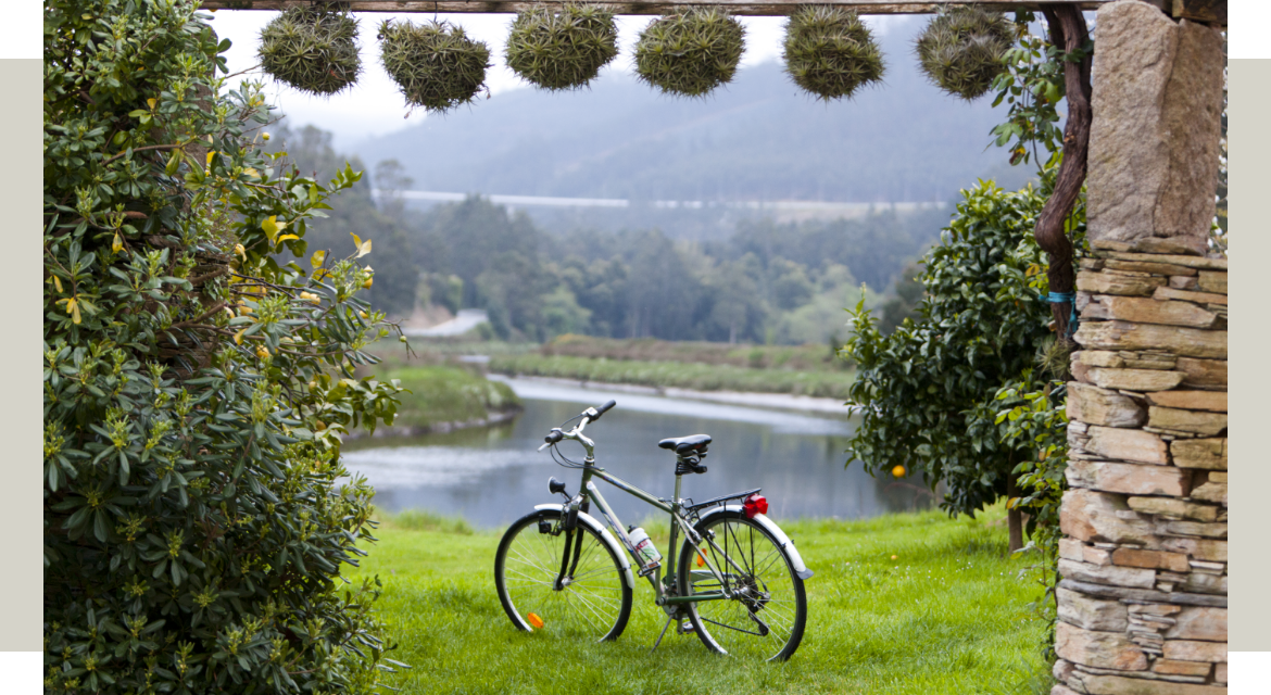 Imagen de una bici en Finca Goleta