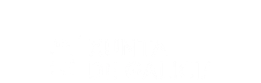 Proyecto cofinanciado por la Xunta de Galicia