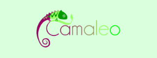 Camaleo Project