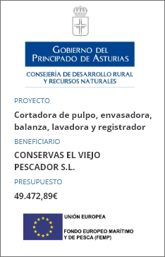 Fondos Europeos Principado de Asturias