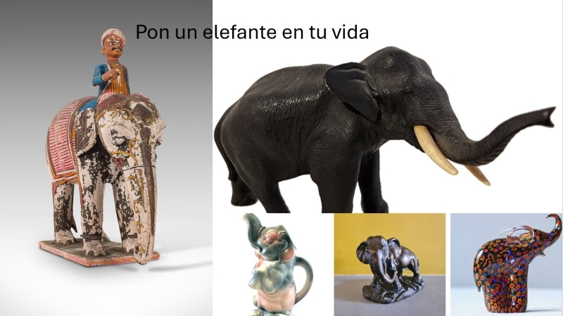 Pon un elefante en tu vida