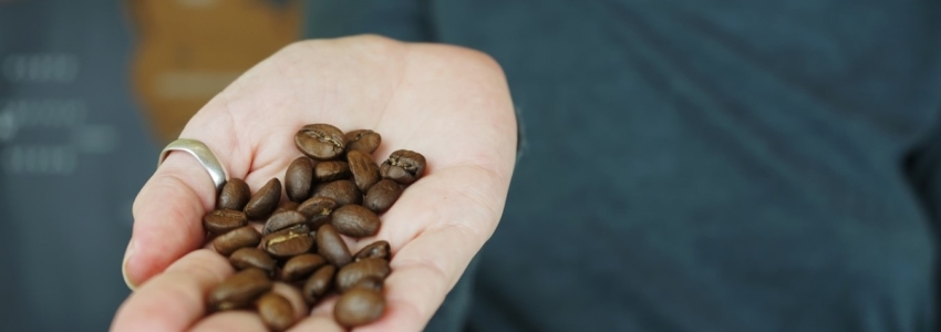 ¿Cuáles son los principales países productores de café? ¿Los conoces?
