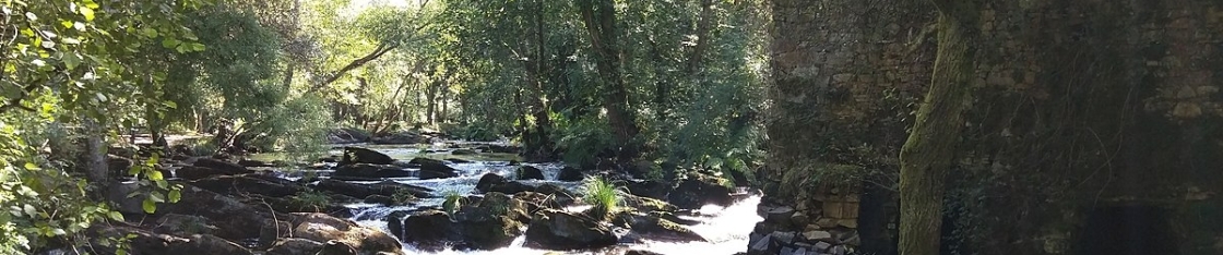 Senda do Anllóns: Un precioso paseo fluvial para visitar coa familia