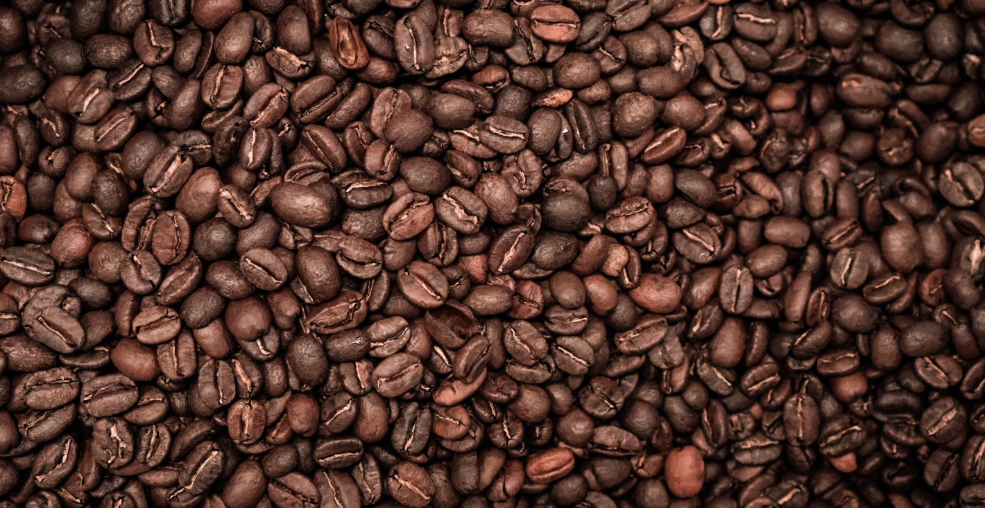 Tipos de granos de café: ¿Los conoces todos?