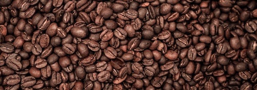 Tipos de granos de café: ¿Los conoces todos?