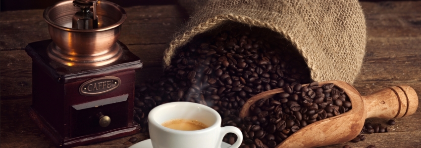 ¿Qué tipo de molinillos para café existen y cuál necesitas realmente?