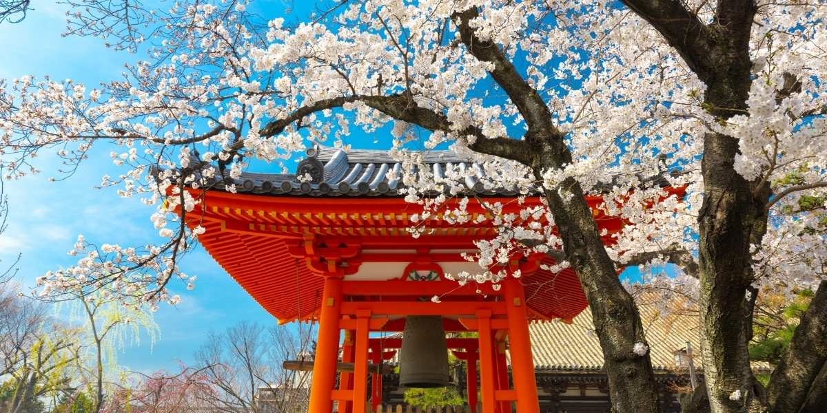 Viaje de 15 días por Japón: Itinerario recomendado